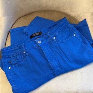 Judy Blue Men's Electric Blue Slim Jeans